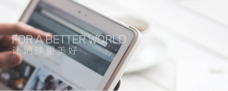 ʮ�����ʹ���-׷�󿵽�,����һ������